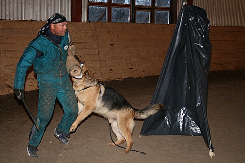 Training in Estonia 3/2007